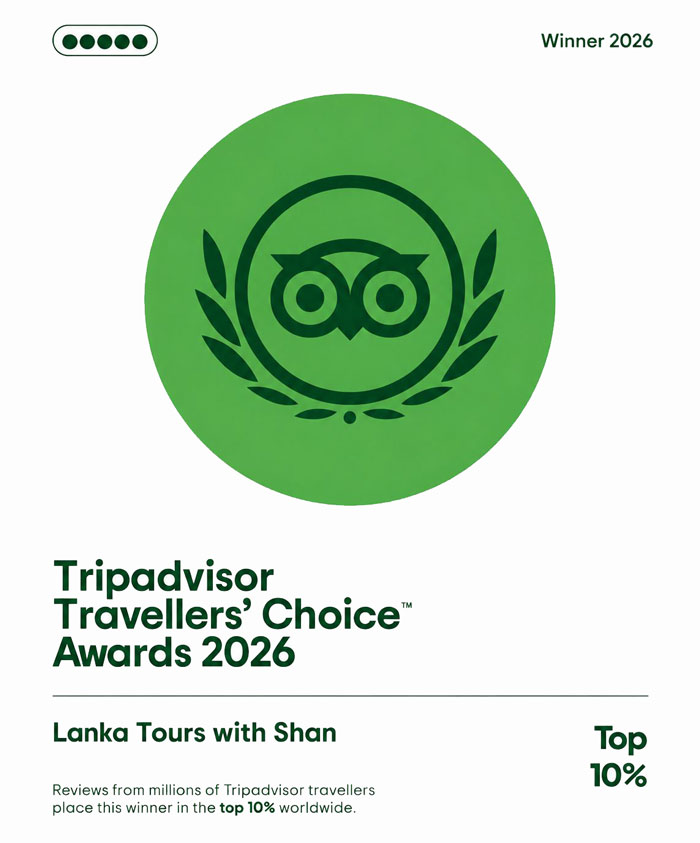 trip advisor